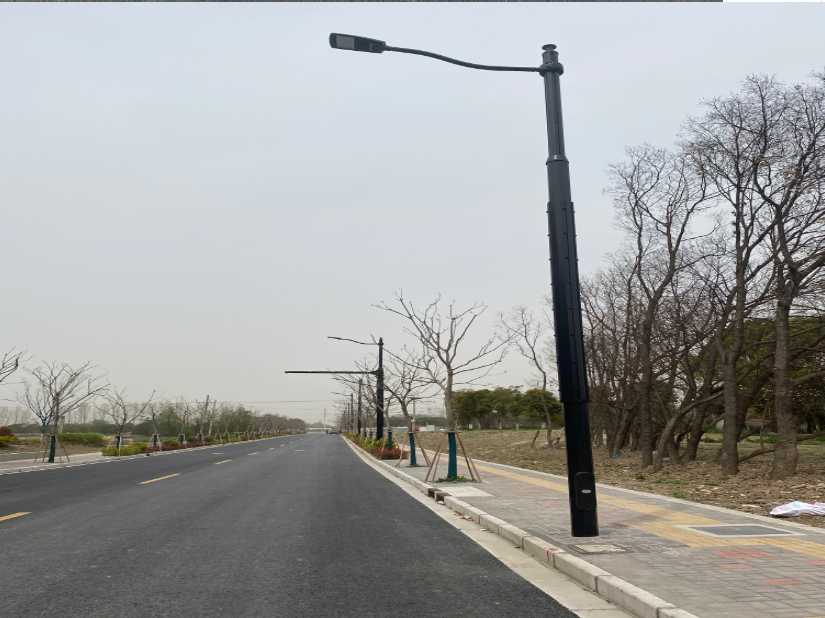 青田县上海综合杆 太阳能路灯工程
